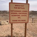 Watch out for reptiles coyote