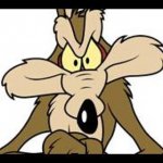 Wile E Coyote Meme Generator - Imgflip