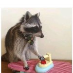 Raccoon ironing board meme