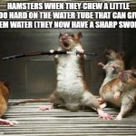 hamster | HAMSTERS WHEN THEY CHEW A LITTLE TOO HARD ON THE WATER TUBE THAT CAN GIVE THEM WATER (THEY NOW HAVE A SHARP SWORD) | image tagged in hamster ninja | made w/ Imgflip meme maker