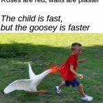 the_______is fast but________ is faster meme