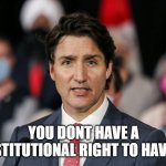 you dont have a constitutional right to have fun | YOU DONT HAVE A CONSTITUTIONAL RIGHT TO HAVE FUN | image tagged in you dont have a constitutional right to have fun | made w/ Imgflip meme maker