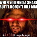 Sharp stick not kill | WHEN YOU FIND A SHARP STICK BUT IT DOESN'T KILL MAMMOTH; ANGRY | image tagged in confused unga bunga,angry,stick | made w/ Imgflip meme maker