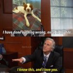 My puppy has never done anything wrong! | image tagged in i know this and i love you | made w/ Imgflip meme maker