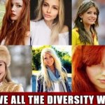 EUROPEAN DIVERSITY meme