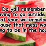 melon | Do yall remember having to go outside to eat your watermelon. Because that mess wasn't going to be in the house. | image tagged in melon | made w/ Imgflip meme maker