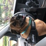 Best chauffeur ever