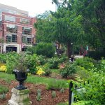Garden new