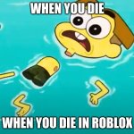 r.i.p cricket green | WHEN YOU DIE; WHEN YOU DIE IN ROBLOX | image tagged in destroyed cricket green | made w/ Imgflip meme maker