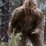 Bigfoot/Darrel from the progressive commercial | FOR THE MILLIONTH TIME... MY NAME IS DARREL ! | image tagged in sasquatch,progressive commercial | made w/ Imgflip meme maker