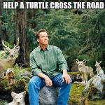 There you go little guy... | HOW YOU FEEL WHEN YOU HELP A TURTLE CROSS THE ROAD | image tagged in arnold schwarzenegger,turtles,a helping hand,helping,funny memes | made w/ Imgflip meme maker