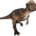 Pachycephalosaurus 2 (TLW Design)