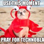 R.i.p techno | USE THIS MOMENT; TO PRAY FOR TECHNOBLADE | image tagged in dogster | made w/ Imgflip meme maker