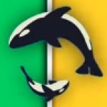 weird orcas template