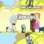 what is my purpose | WHAT IS MY PURPOSE? DON'T DIE; ... | image tagged in what is my purpose,chess | made w/ Imgflip meme maker