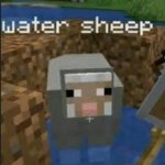 Water sheep