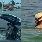 Mask in convertible and lake