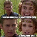 Anakin Padme 4 Panel | I STARTED A FOREST FIRE IN MINECRAFT, RIGHT? IN MINECRAFT, RIGHT? | image tagged in anakin padme 4 panel | made w/ Imgflip meme maker