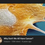 Why Don’t We All Have Cancer?