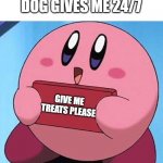 kirby dog | THE LOOK MY 
DOG GIVES ME 24/7; GIVE ME TREATS PLEASE | image tagged in kirby,dog memes,work,dog | made w/ Imgflip meme maker