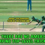 Cricket | AREN'T YOU SUPPOSED TO BE AT THE OTHER END? WHY THERE ARE NO AMERICANS PLAYING TOP-LEVEL CRICKET | image tagged in cricket | made w/ Imgflip meme maker