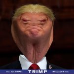 Dinild Trimp