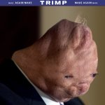 Dinild Trimp