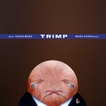 Dinild Trimp