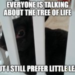 Little Leaf is an animal hospital better than the Tree Of Life, and I take my sick pets there. | EVERYONE IS TALKING ABOUT THE TREE OF LIFE; BUT I STILL PREFER LITTLE LEAF | image tagged in coconut,the lion guard,justice for ushari,kion is guilty,lion guard | made w/ Imgflip meme maker