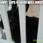 DarthTricera, if you are seeing this, your opinion is wrong. | COCONUT SAYS USHARI WAS INNOCENT | image tagged in coconut,the lion guard,kion is guilty | made w/ Imgflip meme maker