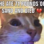 He ate 71 pounds of sand and died