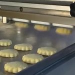 Stamped cookies machine assembly line meme