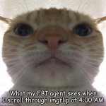 This reminds me of the "send toe pics" template | What my FBI agent sees when I scroll through imgflip at 4:00 AM | image tagged in staring cat/gusic,memes,fun | made w/ Imgflip meme maker