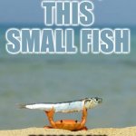 World conquest | TODAY,
THIS SMALL FISH; TOMORROW,
THE WORLD | image tagged in the winning crab | made w/ Imgflip meme maker