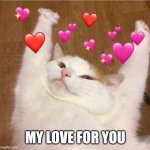 Cat loved meme | MY LOVE FOR YOU | image tagged in cat loved meme | made w/ Imgflip meme maker