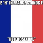 French flag | THE "H" IN FRANCE STANDS FOR; "HETEROSEXUAL" | image tagged in french flag | made w/ Imgflip meme maker