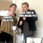 This | SO, THIS IS YOUR ONLINE PET? CAREFUL, SHE BYTES | image tagged in this,leonardo dicaprio,online pet,memes | made w/ Imgflip meme maker