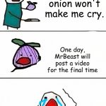 WHHYYYYYYYYYYYYYYYYYYYYYYYYYYYYYYYYYYYYYYYY | This onion won't make me cry. One day, MrBeast will post a video for the final time | image tagged in this onion won't make me cry better quality | made w/ Imgflip meme maker
