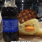 Drunk Duck Meme | HEY BABY; WANT ME TO BUY U A DRINK | image tagged in drunk duck | made w/ Imgflip meme maker