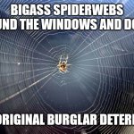 Spiderweb | BIGASS SPIDERWEBS AROUND THE WINDOWS AND DOORS THE ORIGINAL BURGLAR DETERRENT | image tagged in spiderweb | made w/ Imgflip meme maker
