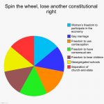 Spin the wheel lose another constitutional right meme