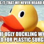 Ugly Duckling | WHY IS IT THAT WE NEVER HEARD ABOUT; THE UGLY DUCKLING WHO OPTED FOR PLASTIC SURGERY? | image tagged in ugly duckling | made w/ Imgflip meme maker