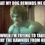 The Incredible Hulk  | WHAT MY DOG REMINDS ME OF.... WHEN I'M TRYING TO TAKE AWAY THE RAWHIDE FROM HER!! | image tagged in the incredible hulk | made w/ Imgflip meme maker