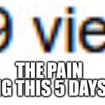 SO CLOSE! | THE PAIN; OF GETTING THIS 5 DAYS STRAIGHT | image tagged in so close | made w/ Imgflip meme maker