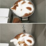 Catpuccino