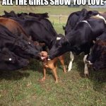Love shown | WHEN YOU GO OUT AND ALL THE GIRLS SHOW YOU LOVE | image tagged in happy dog | made w/ Imgflip meme maker