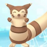 happy furret