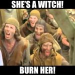 Monty Python she’s a witch burn her