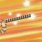 Furret AAAAAAA meme