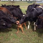 Smelling good | WHEN YOU REALIZE YOU CHOSE THE RIGHT AXE SPRAY TODAY | image tagged in happy dog | made w/ Imgflip meme maker